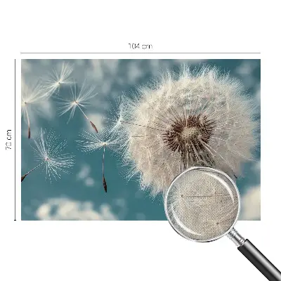 46D-Fototapete mit einem dezenten, luftigen Motiv