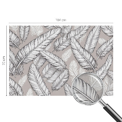 46D-Fototapete fürs Wohnzimmer Feine Federn