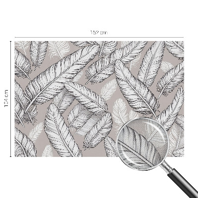 46D-Fototapete fürs Wohnzimmer Feine Federn