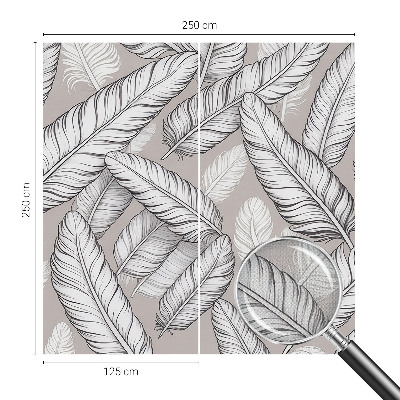 46D-Fototapete fürs Wohnzimmer Feine Federn