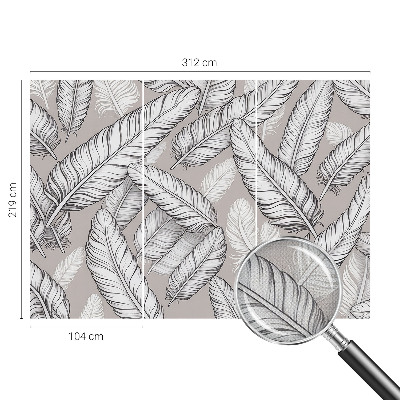 46D-Fototapete fürs Wohnzimmer Feine Federn