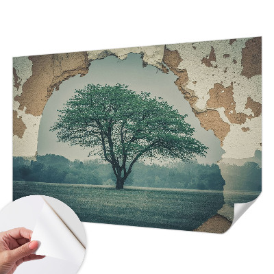 47D-Fototapete Ein einsamer Baum
