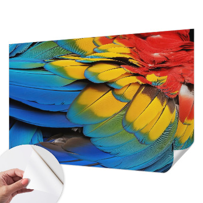 47D-Fototapete fürs Wohnzimmer mit Motiv aus Regenbogenfedern