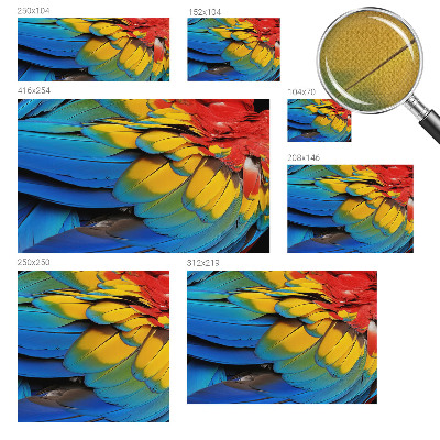 47D-Fototapete fürs Wohnzimmer Regenbogenfedern