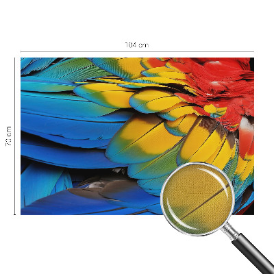 47D-Fototapete fürs Wohnzimmer Regenbogenfedern