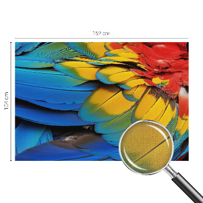 47D-Fototapete fürs Wohnzimmer mit Motiv aus Regenbogenfedern