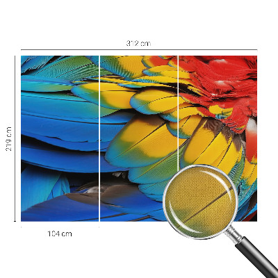 47D-Fototapete fürs Wohnzimmer Regenbogenfedern