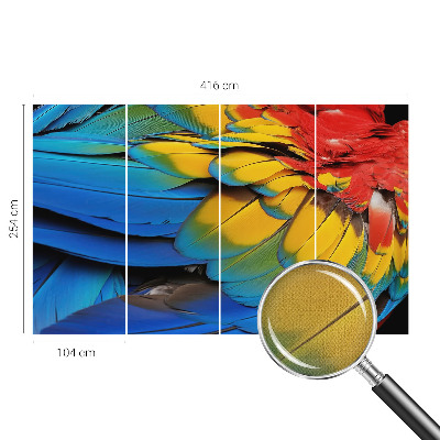 47D-Fototapete fürs Wohnzimmer Regenbogenfedern