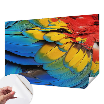 47D-Fototapete fürs Wohnzimmer mit Motiv aus Regenbogenfedern