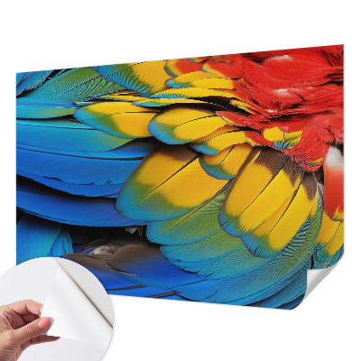 47D-Fototapete fürs Wohnzimmer mit Motiv aus Regenbogenfedern