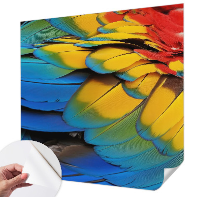 47D-Fototapete fürs Wohnzimmer mit Motiv aus Regenbogenfedern