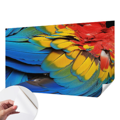 47D-Fototapete fürs Wohnzimmer mit Motiv aus Regenbogenfedern