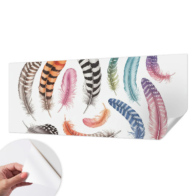 Motivtapete fürs Wohnzimmer Pastellfarbene Federn