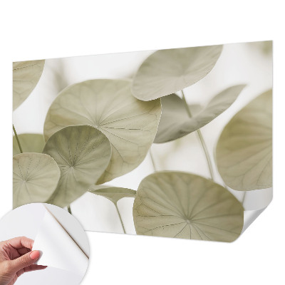 Selbstklebende Fototapete für die Wand mit natürlichem, elegantem Motiv