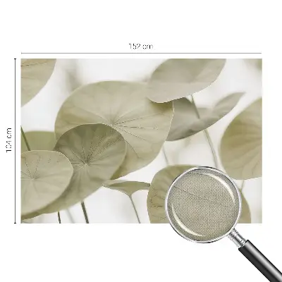 Selbstklebende Fototapete für die Wand mit natürlichem, elegantem Motiv