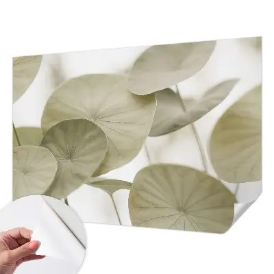 Selbstklebende Fototapete für die Wand mit natürlichem, elegantem Motiv