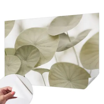 Selbstklebende Fototapete für die Wand mit natürlichem, elegantem Motiv