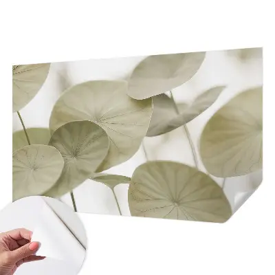 Selbstklebende Fototapete für die Wand mit natürlichem, elegantem Motiv