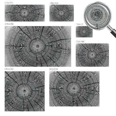Selbstklebende Fototapete Harmonie des Waldes