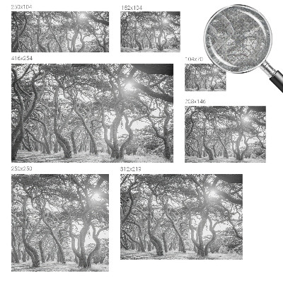 Vintage tapete Atmosphärischer Wald