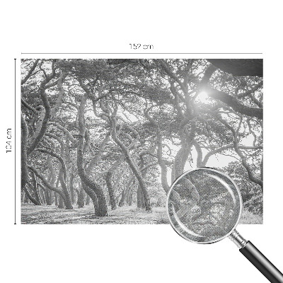 Vintage tapete Atmosphärischer Wald