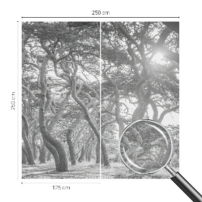 Vintage tapete Atmosphärischer Wald