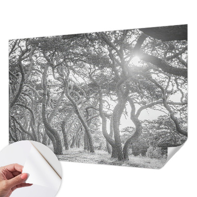 Vintage tapete Atmosphärischer Wald