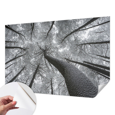Selbstklebende Fototapete fürs Schlafzimmer mit einer Winterlandschaft