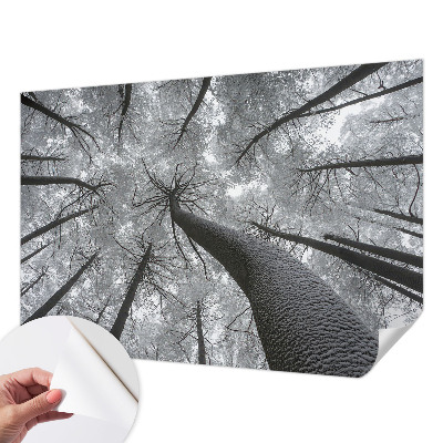 Selbstklebende Fototapete fürs Schlafzimmer mit einer Winterlandschaft