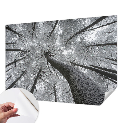 Selbstklebende Fototapete fürs Schlafzimmer mit einer Winterlandschaft