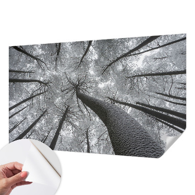 Selbstklebende Fototapete fürs Schlafzimmer mit einer Winterlandschaft