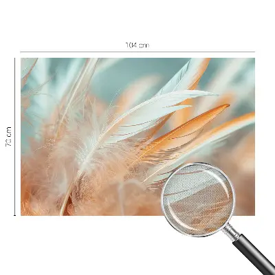 51D-Fototapete fürs Wohnzimmer mit zarten Federn als Motiv