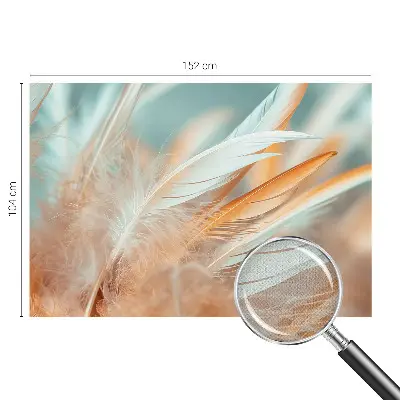 51D-Fototapete fürs Wohnzimmer mit zarten Federn als Motiv