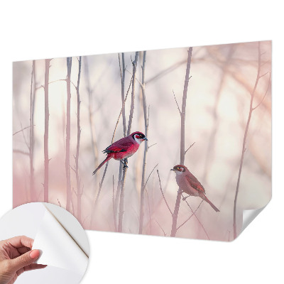 Selbstklebende Fototapete fürs Schlafzimmer mit einem Vogelpaar als Motiv