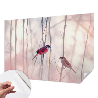 Selbstklebende Fototapete fürs Schlafzimmer mit einem Vogelpaar als Motiv