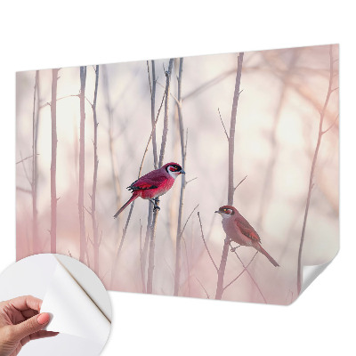 Selbstklebende Fototapete fürs Schlafzimmer mit einem Vogelpaar als Motiv