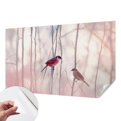 Selbstklebende Fototapete fürs Schlafzimmer mit einem Vogelpaar als Motiv