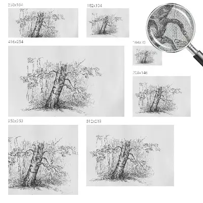 Fototapete in 3D-Optik mit Waldbaum-Motiv