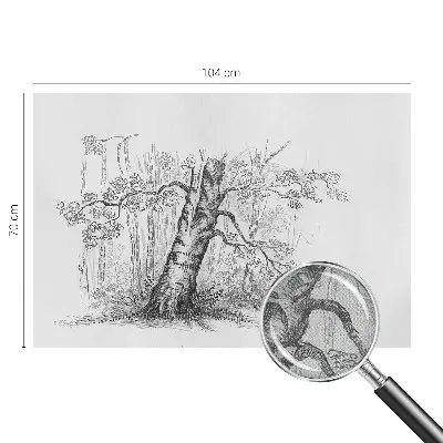 Fototapete in 3D-Optik mit Waldbaum-Motiv