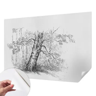 Fototapete in 3D-Optik mit Waldbaum-Motiv