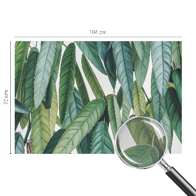 53D-Fototapete fürs Wohnzimmer Natürliche Blätter