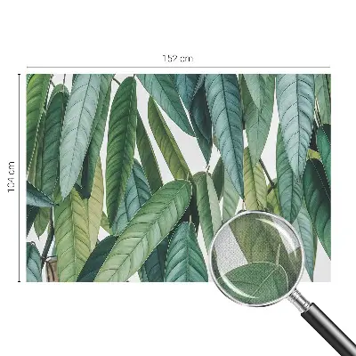 53D-Fototapete fürs Wohnzimmer mit natürlichem Blättermotiv