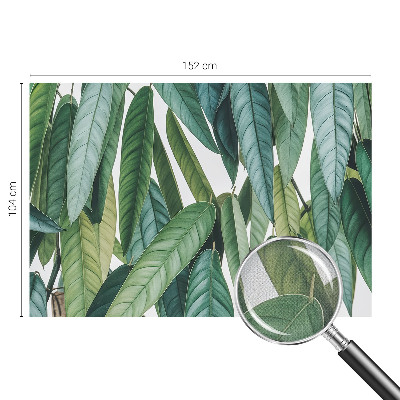 53D-Fototapete fürs Wohnzimmer Natürliche Blätter