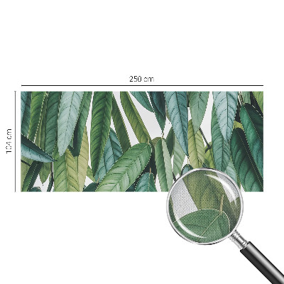 53D-Fototapete fürs Wohnzimmer Natürliche Blätter