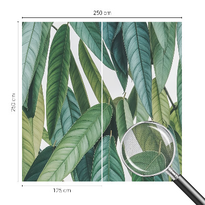 53D-Fototapete fürs Wohnzimmer Natürliche Blätter