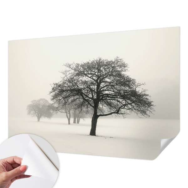 Moderne Fototapete nach Maß mit winterlichen Bäumen