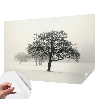 Moderne Fototapete nach Maß mit winterlichen Bäumen