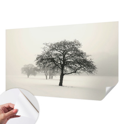 Moderne Fototapete nach Maß mit winterlichen Bäumen