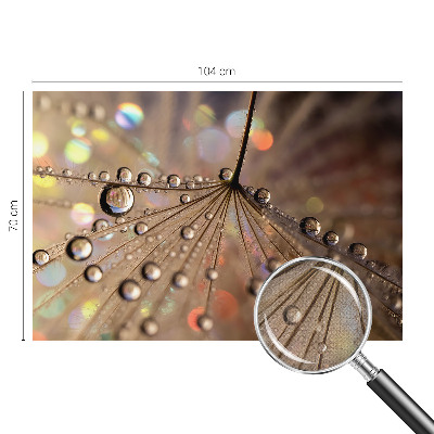 54D-Fototapete fürs Wohnzimmer Perlentropfen