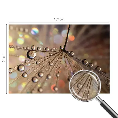 54D-Fototapete fürs Wohnzimmer mit Perlentropfen-Motiv